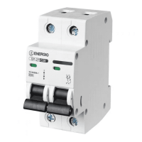 Автоматический выключатель ENERGIO SP 2P C 20А 6кА