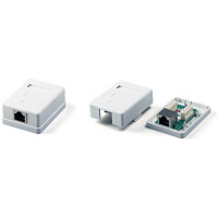 Розетка в сборе Pleolan 1х RJ45, FTP, cat. 5e, внешняя, цвет белый Розетка в сборе Pleolan 1х RJ45, FTP, cat. 5e, внешняя, цвет белый